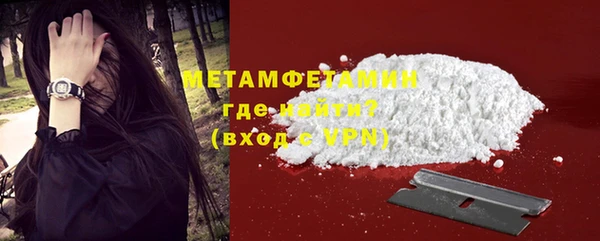 ПСИЛОЦИБИНОВЫЕ ГРИБЫ Михайлов