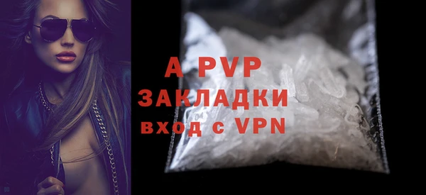ПСИЛОЦИБИНОВЫЕ ГРИБЫ Михайлов