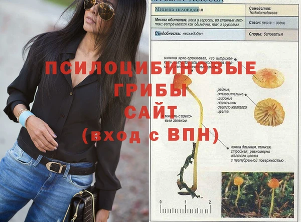 Альфа ПВП Надым