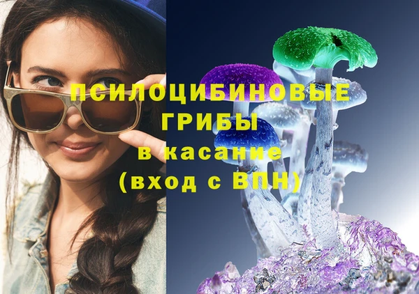 спиды Михайловск